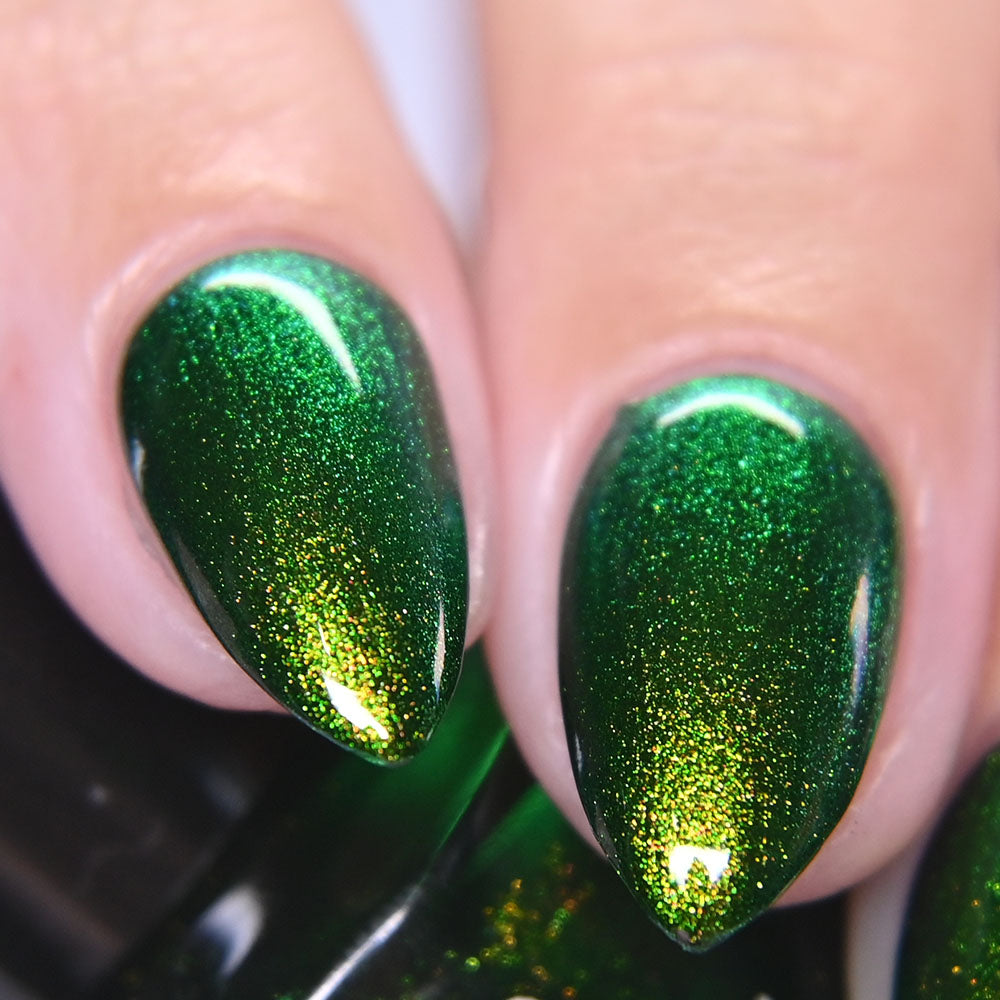 PREORDER: Beetle Wing