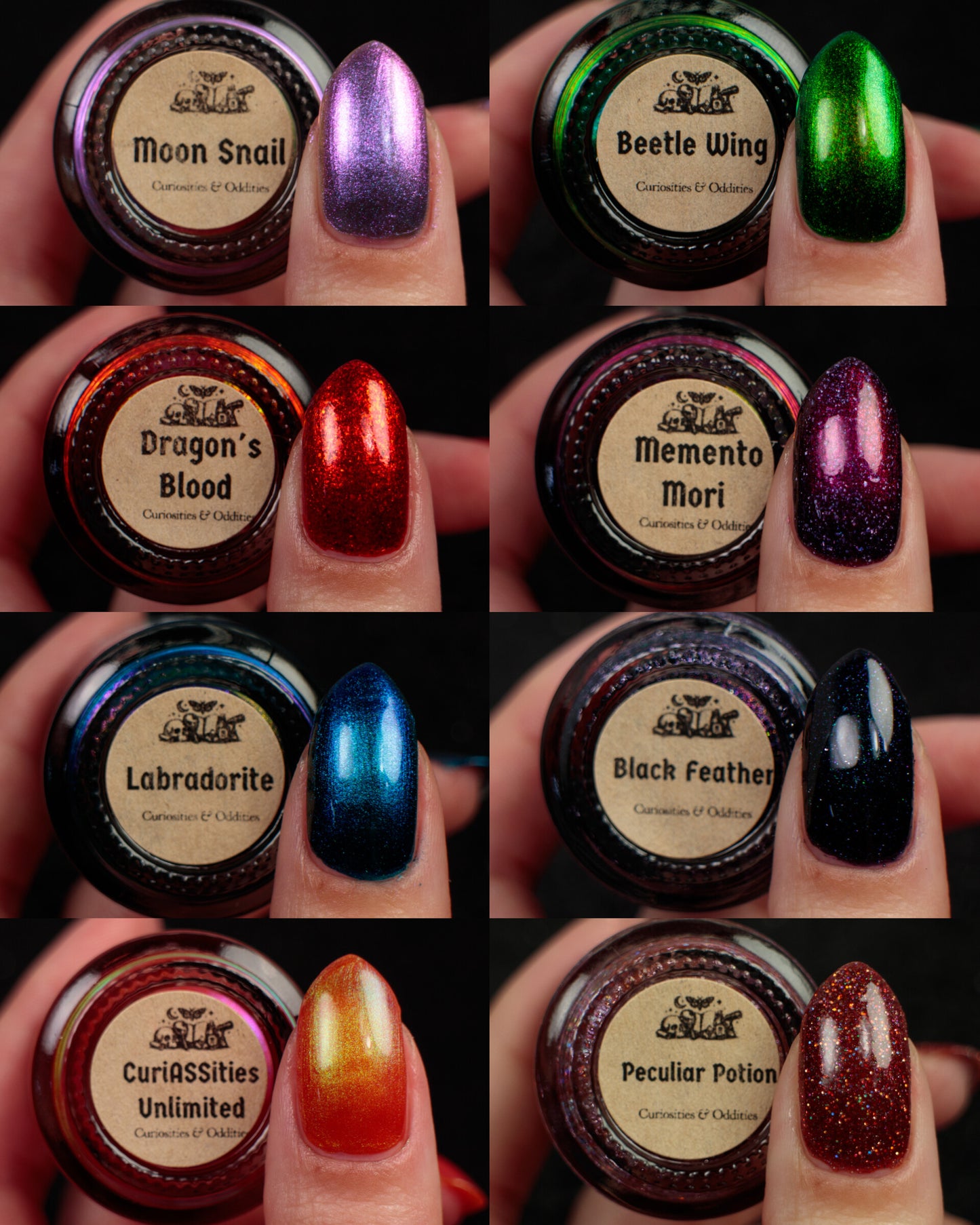 PREORDER: Curiosities & Oddities Full Collection
