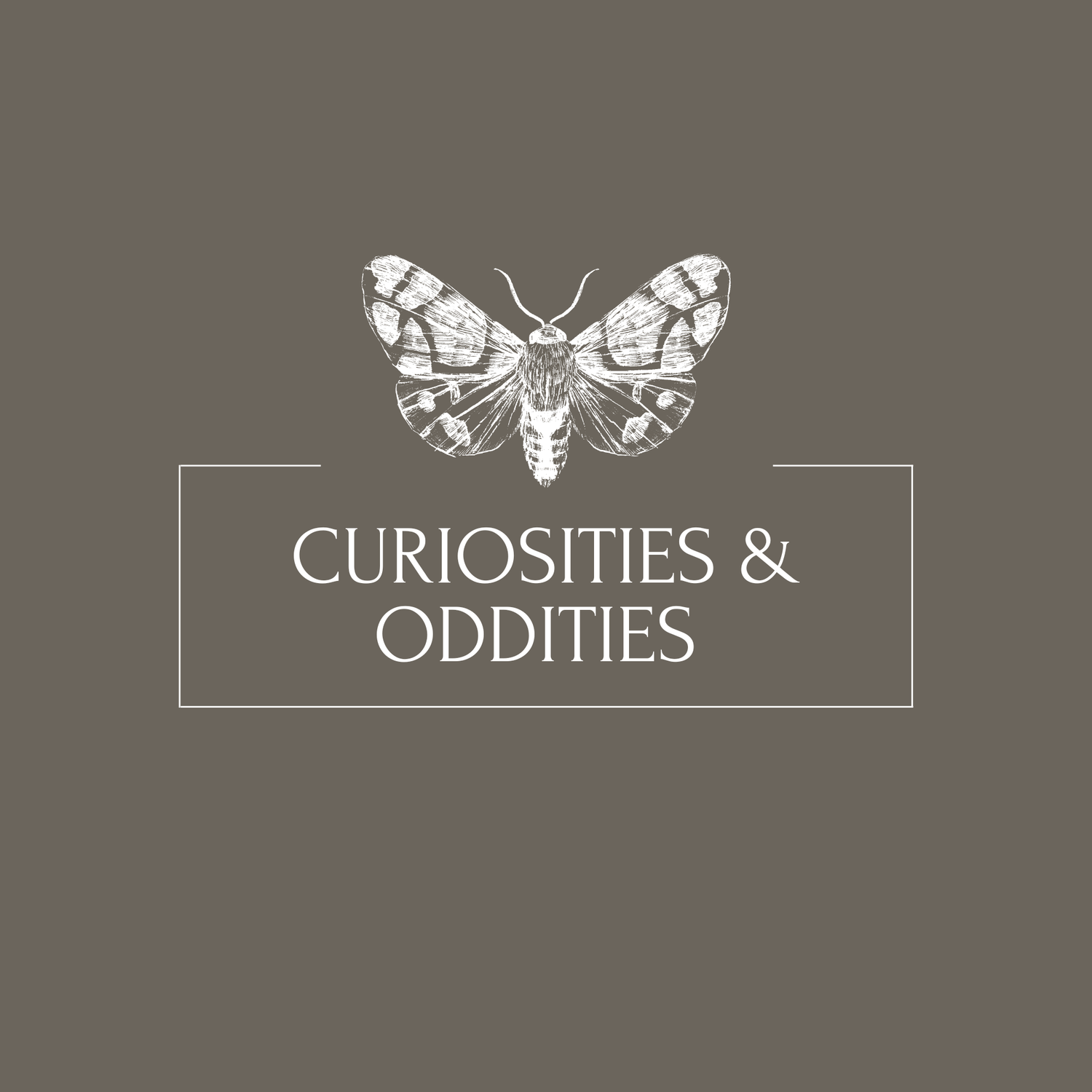 Curiosities & Oddities Collection