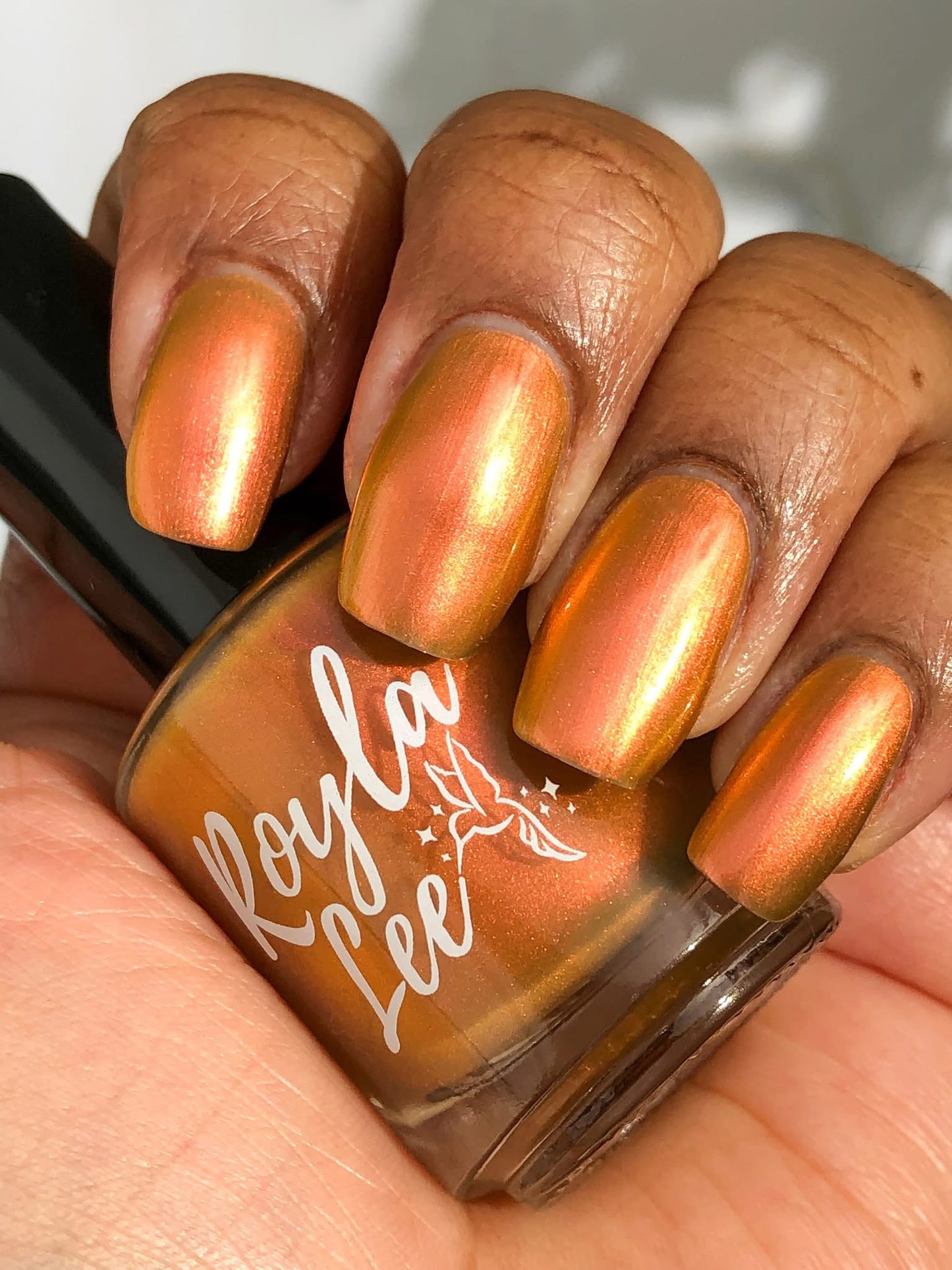 PREORDER: Sunlit Shadows