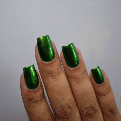 PREORDER: Beetle Wing