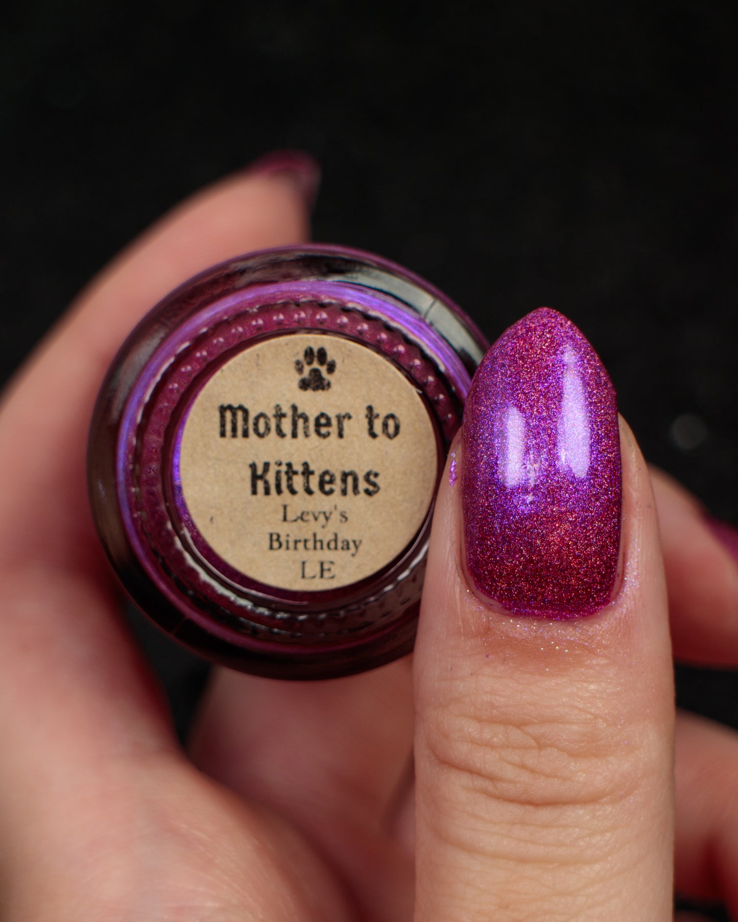 PREORDER: Mother to Kittens