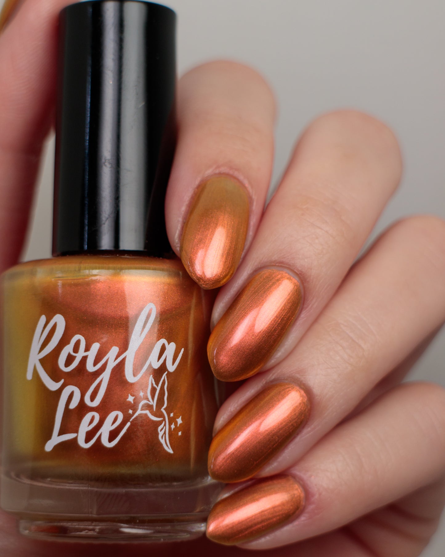 PREORDER: Sunlit Shadows