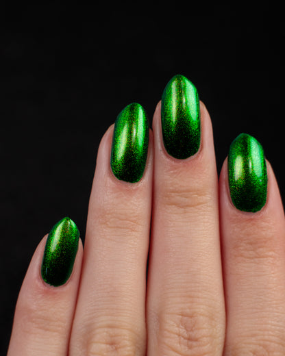 PREORDER: Beetle Wing