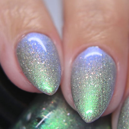 PREORDER: This Ass is Killer, Bella