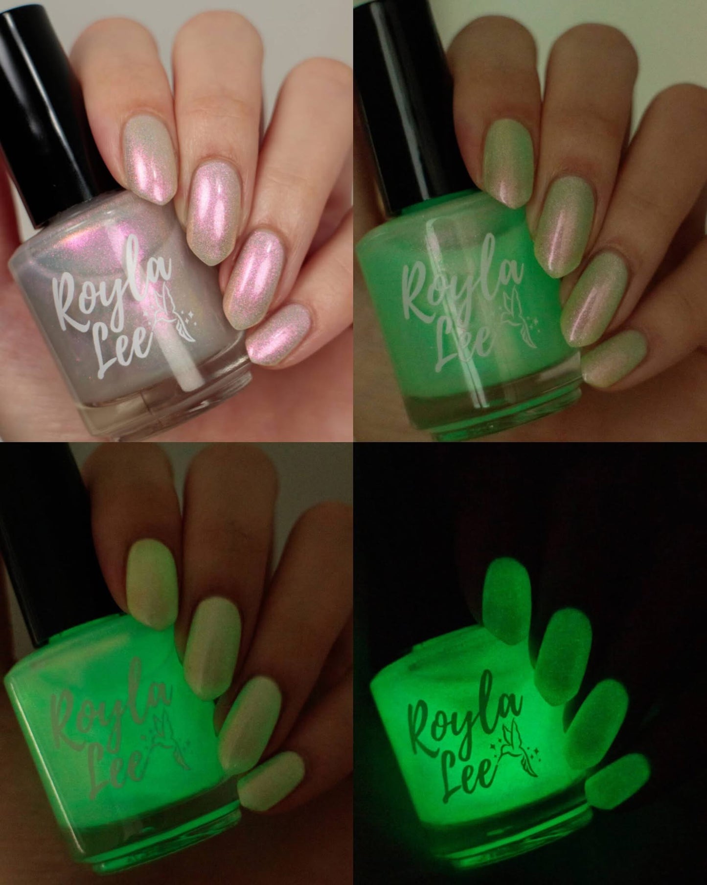 LAST CHANCE: You Glow Gourd - Glow in the Dark