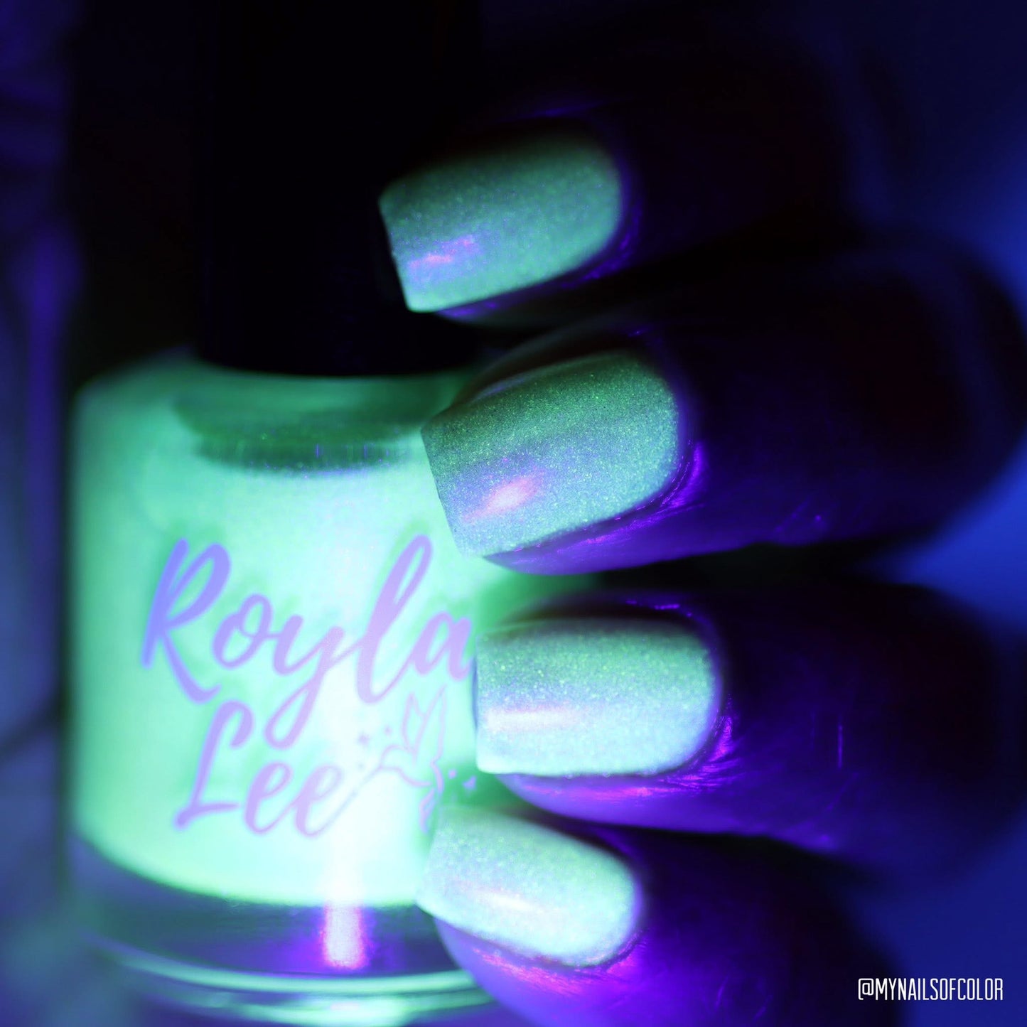 LAST CHANCE: You Glow Gourd - Glow in the Dark
