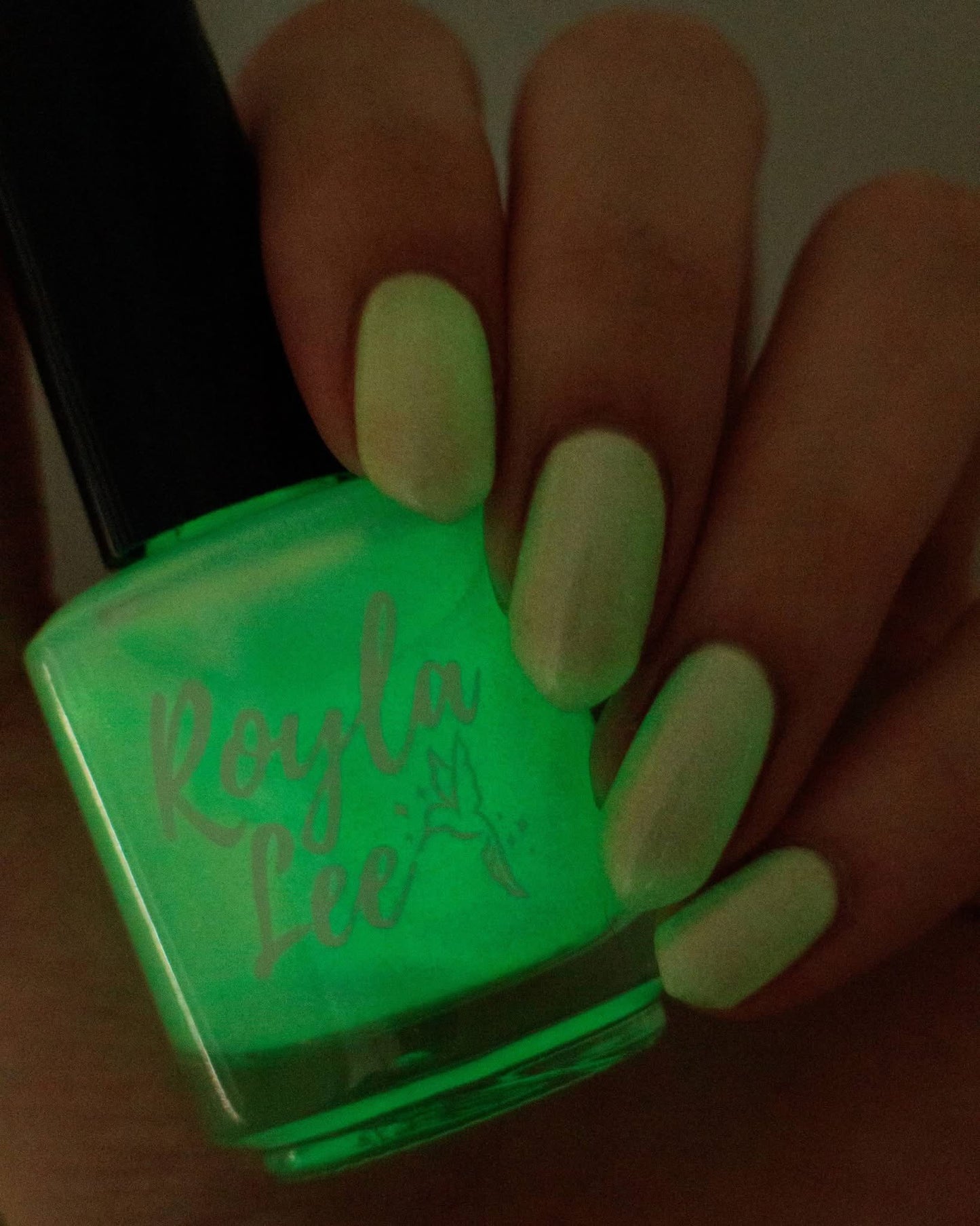 LAST CHANCE: You Glow Gourd - Glow in the Dark