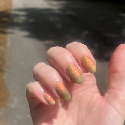 PREORDER: Sunlit Shadows