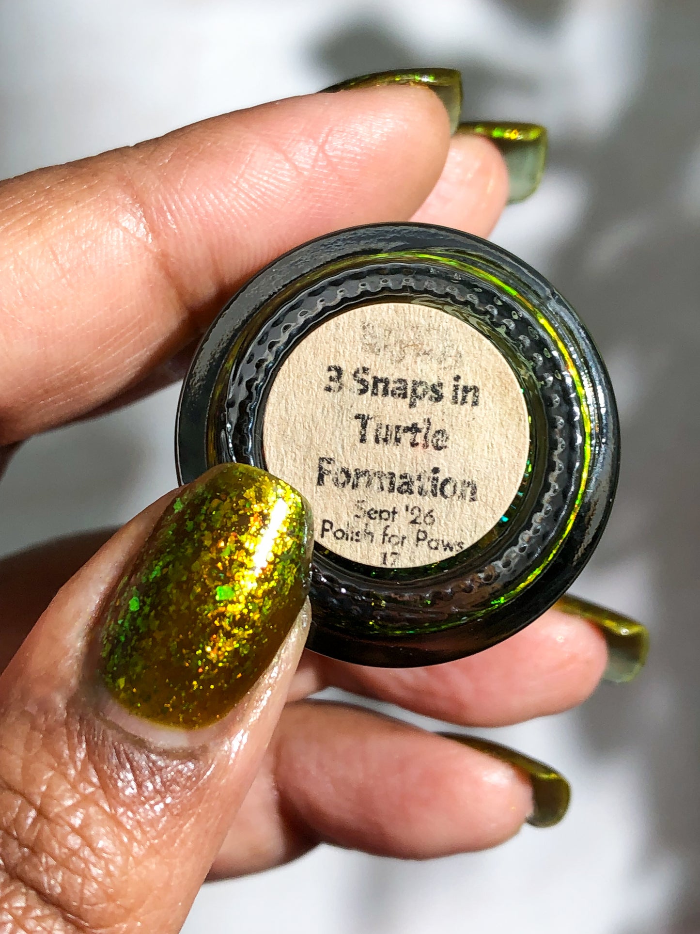 PREORDER: Polish for Paws - 3 Snaps in Turtle Formation