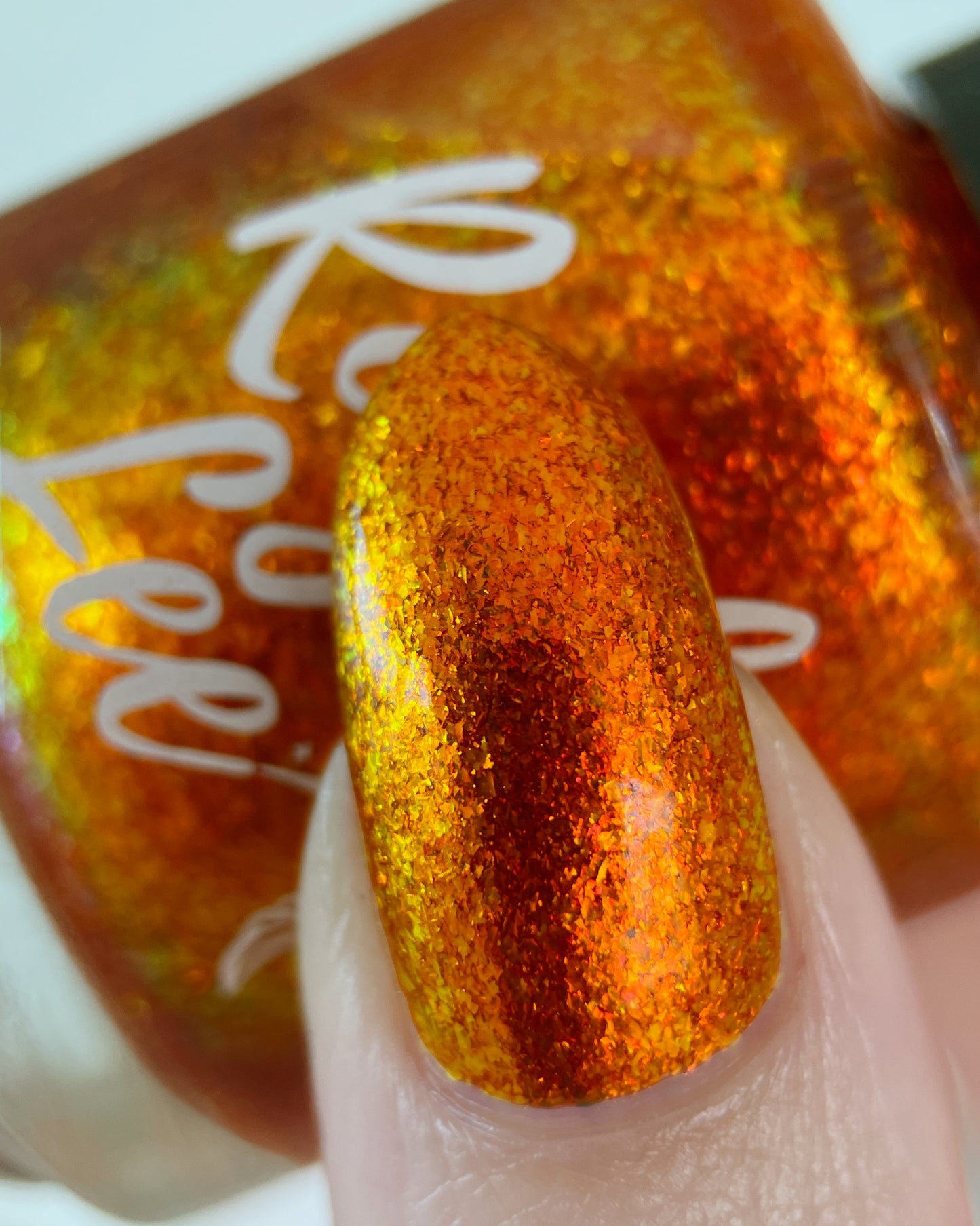 CAPPED RESTOCK: Wild & Beautiful & Drenched in the Sun