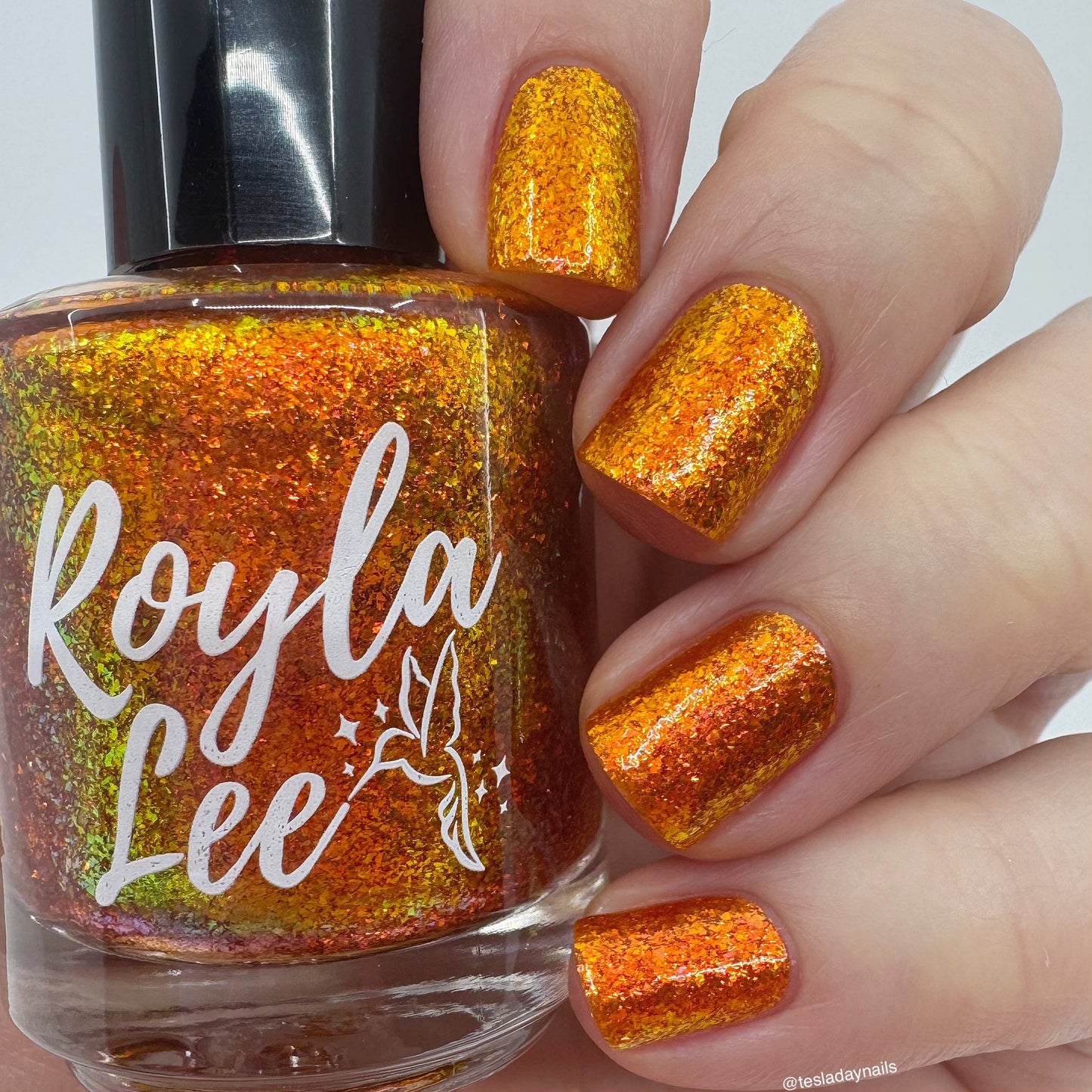 CAPPED RESTOCK: Wild & Beautiful & Drenched in the Sun