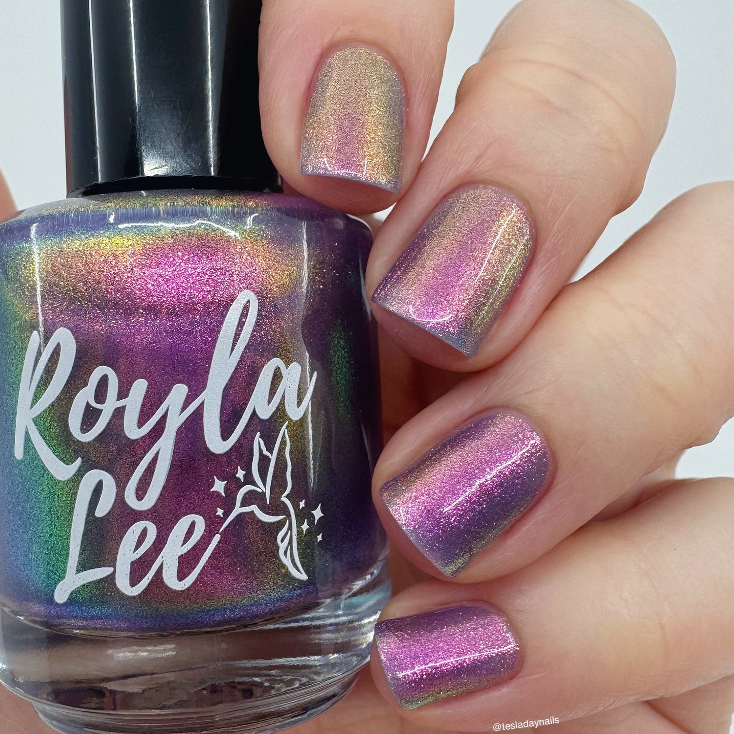 CAPPED RESTOCK: I Am Out with Lanterns Looking for Myself