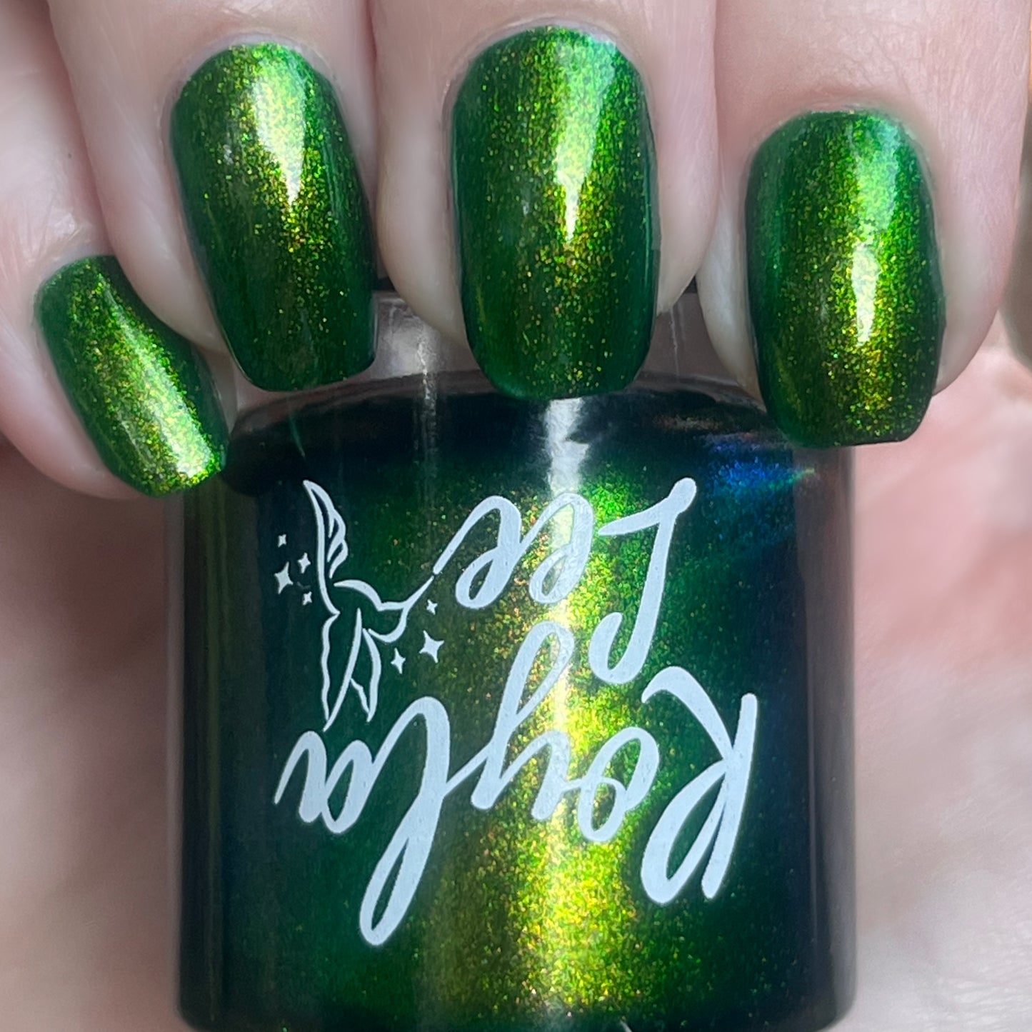PREORDER: Beetle Wing