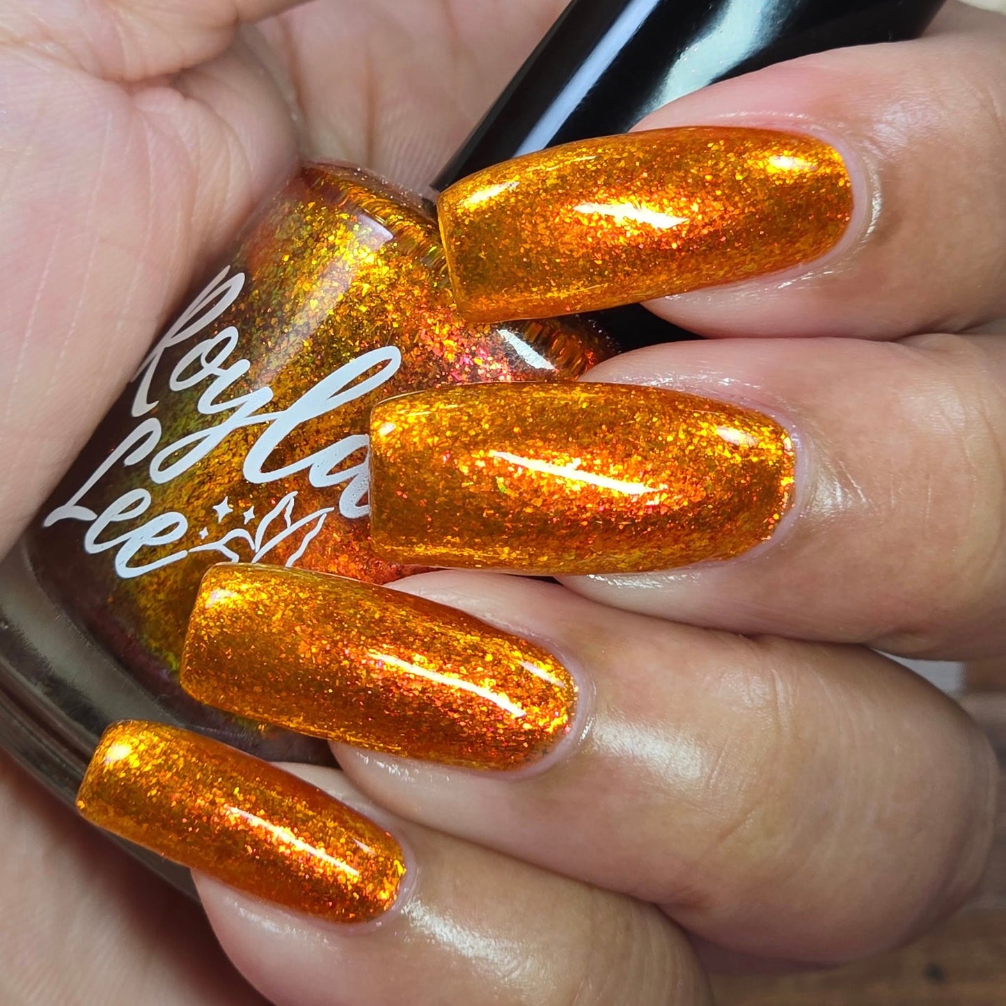 CAPPED RESTOCK: Wild & Beautiful & Drenched in the Sun