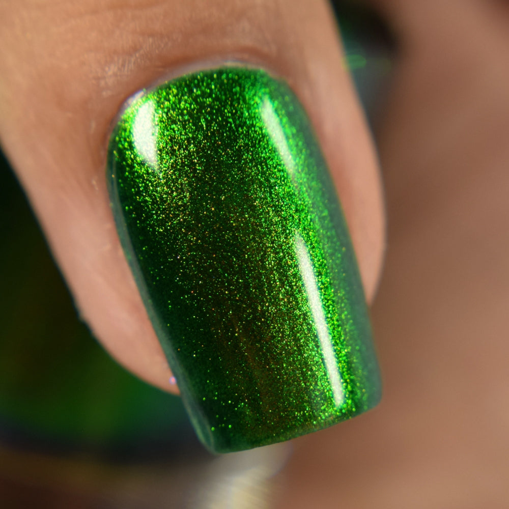 PREORDER: Beetle Wing