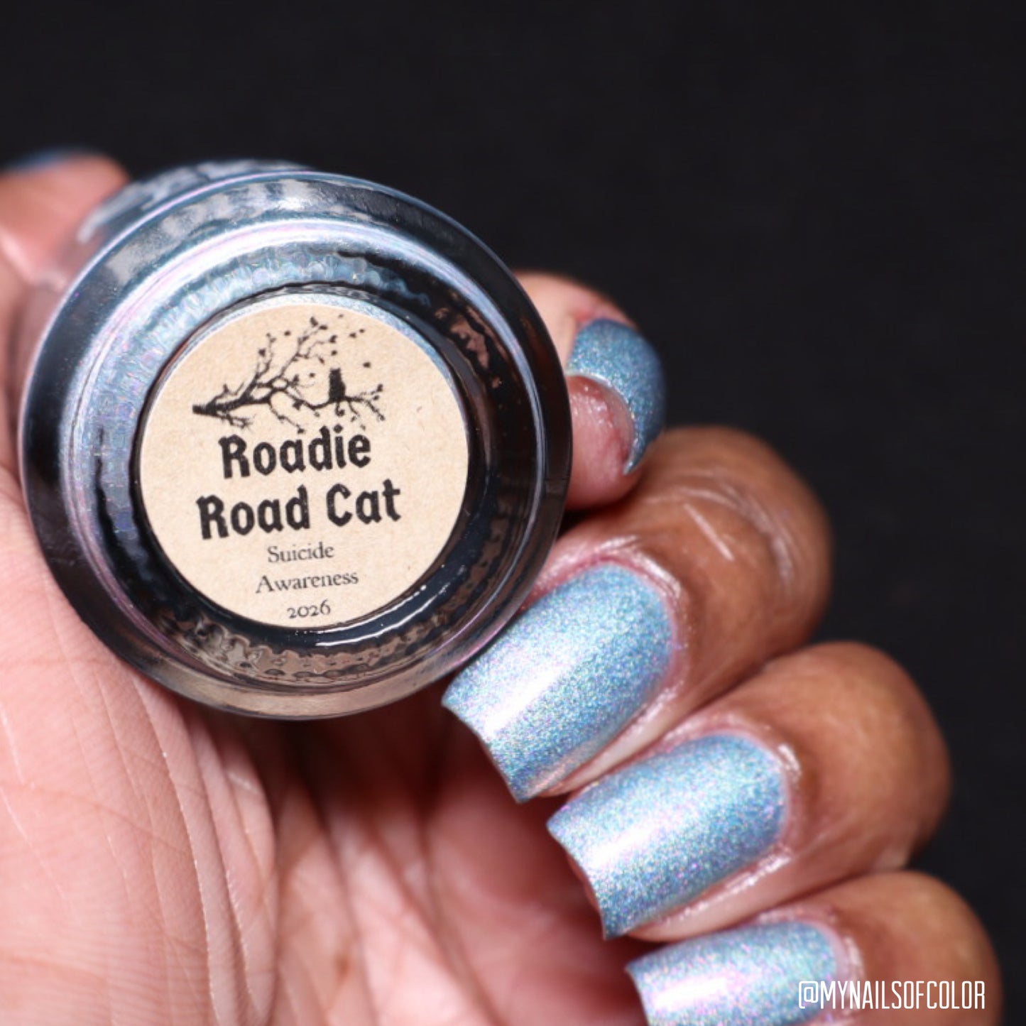 Roadie Road Cat - Suicide Awareness