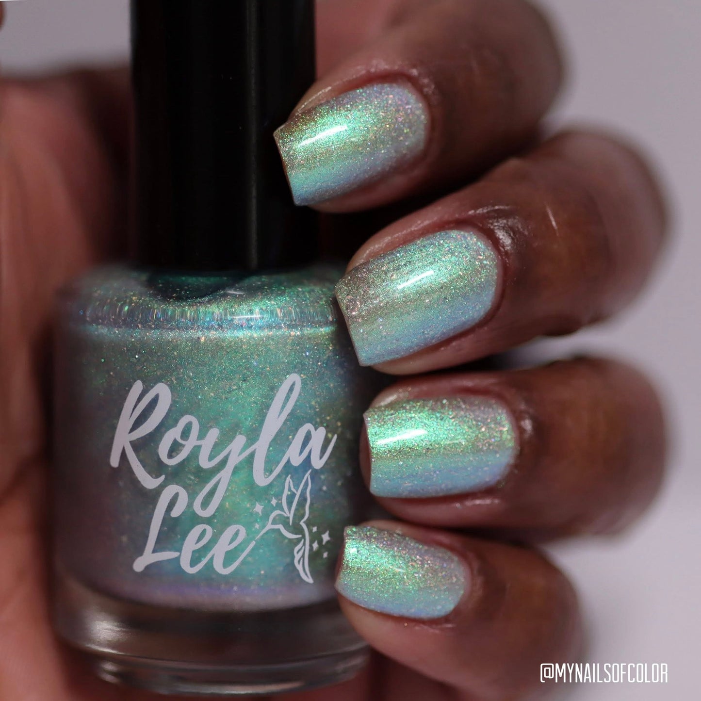 PREORDER: This Ass is Killer, Bella