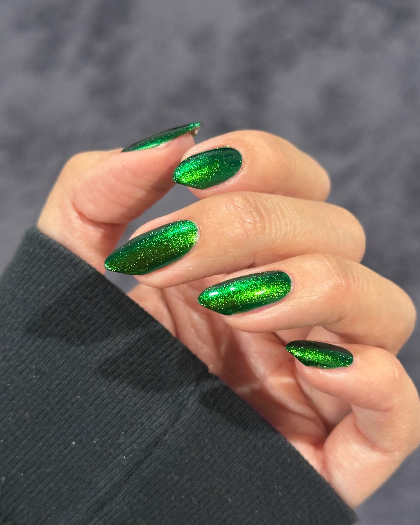 PREORDER: Beetle Wing