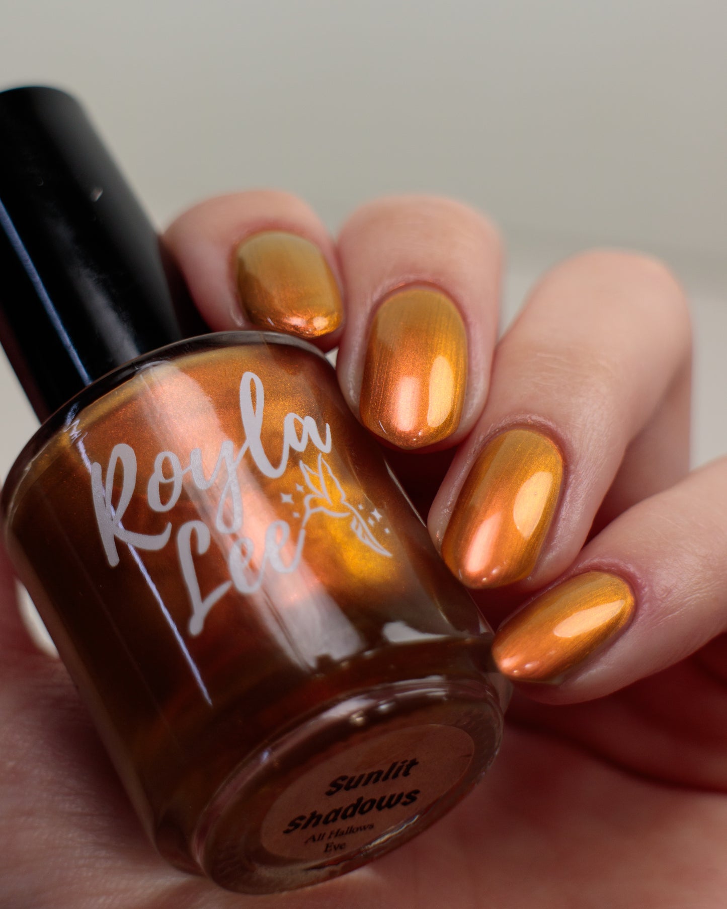 PREORDER: Sunlit Shadows