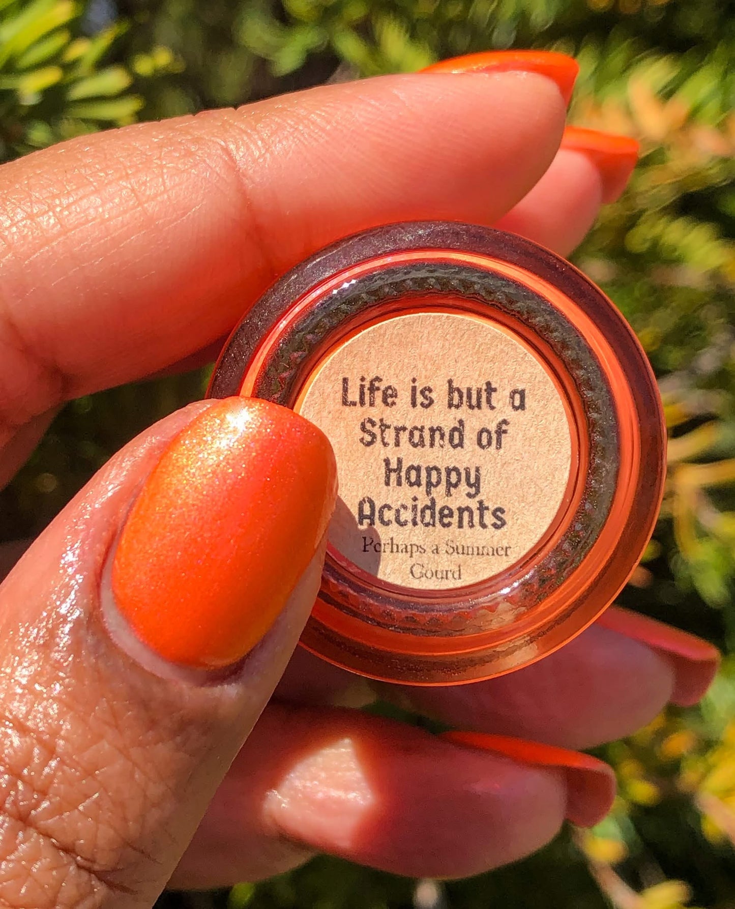 LAST CHANCE: Life is but a Strand of Happy Accidents