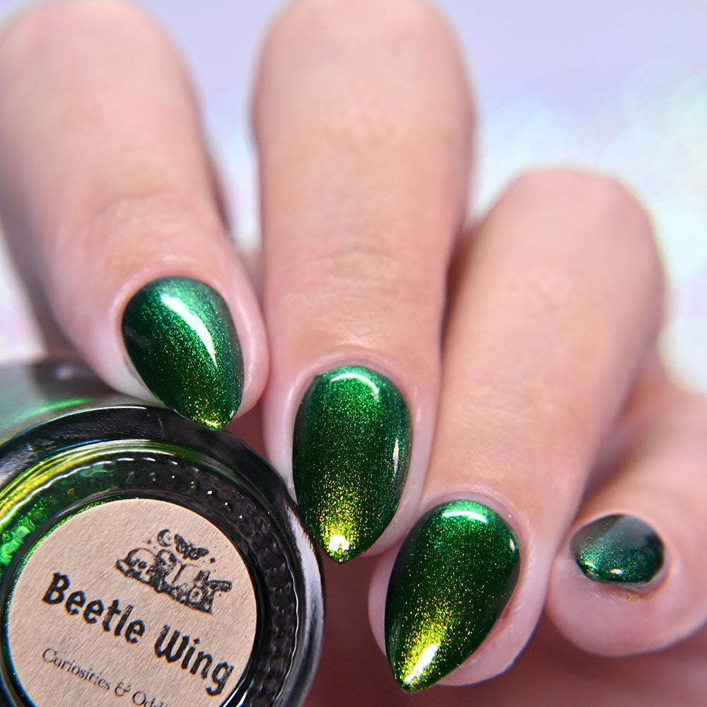 PREORDER: Beetle Wing