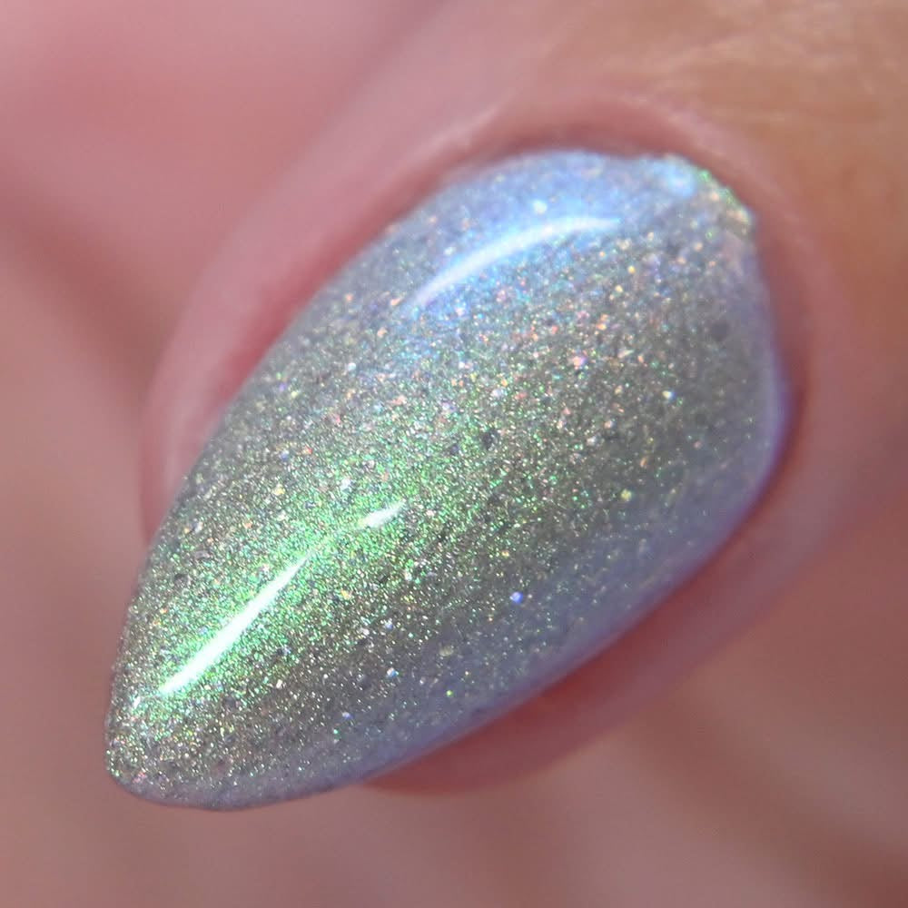 PREORDER: This Ass is Killer, Bella