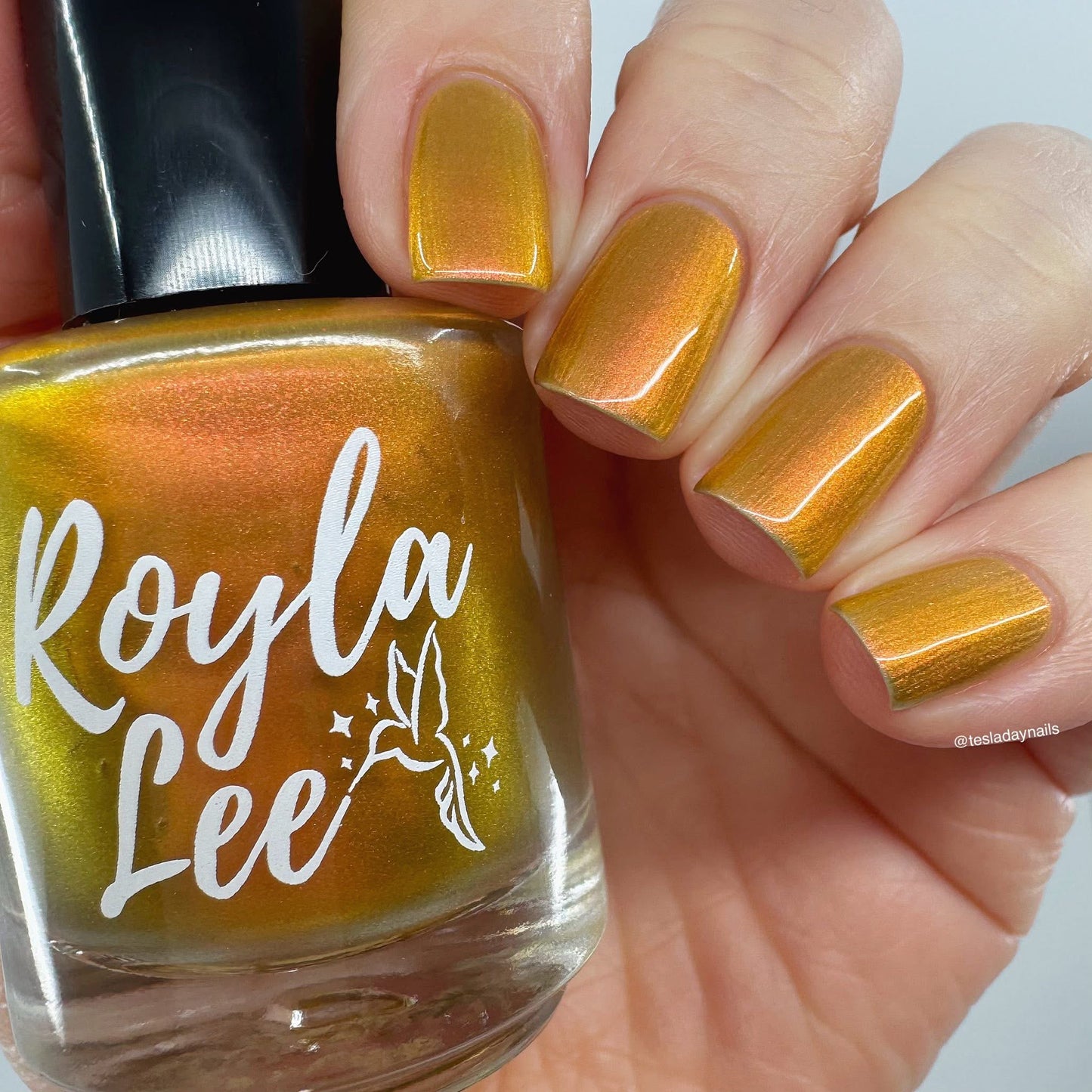 PREORDER: Sunlit Shadows
