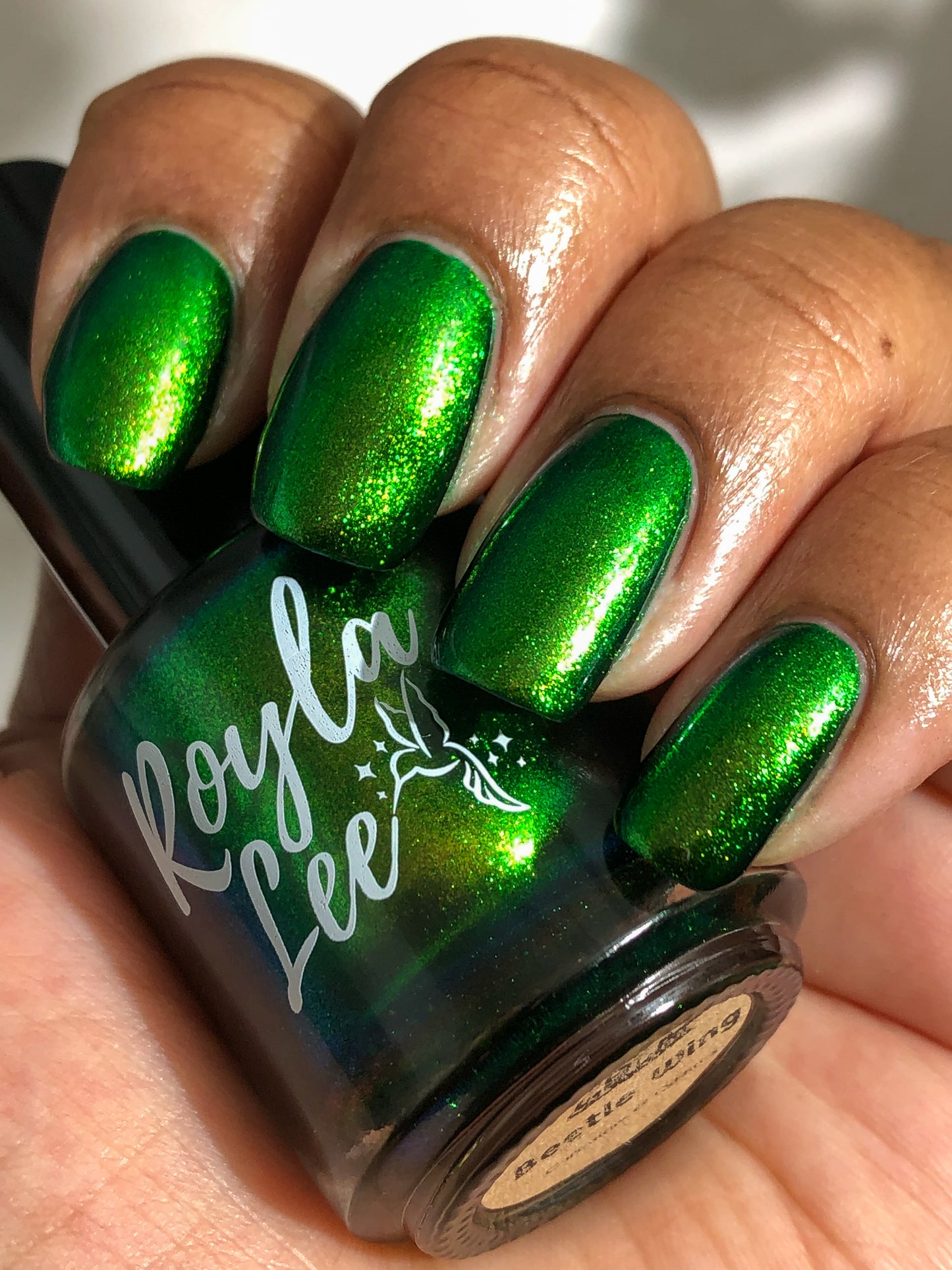 PREORDER: Beetle Wing