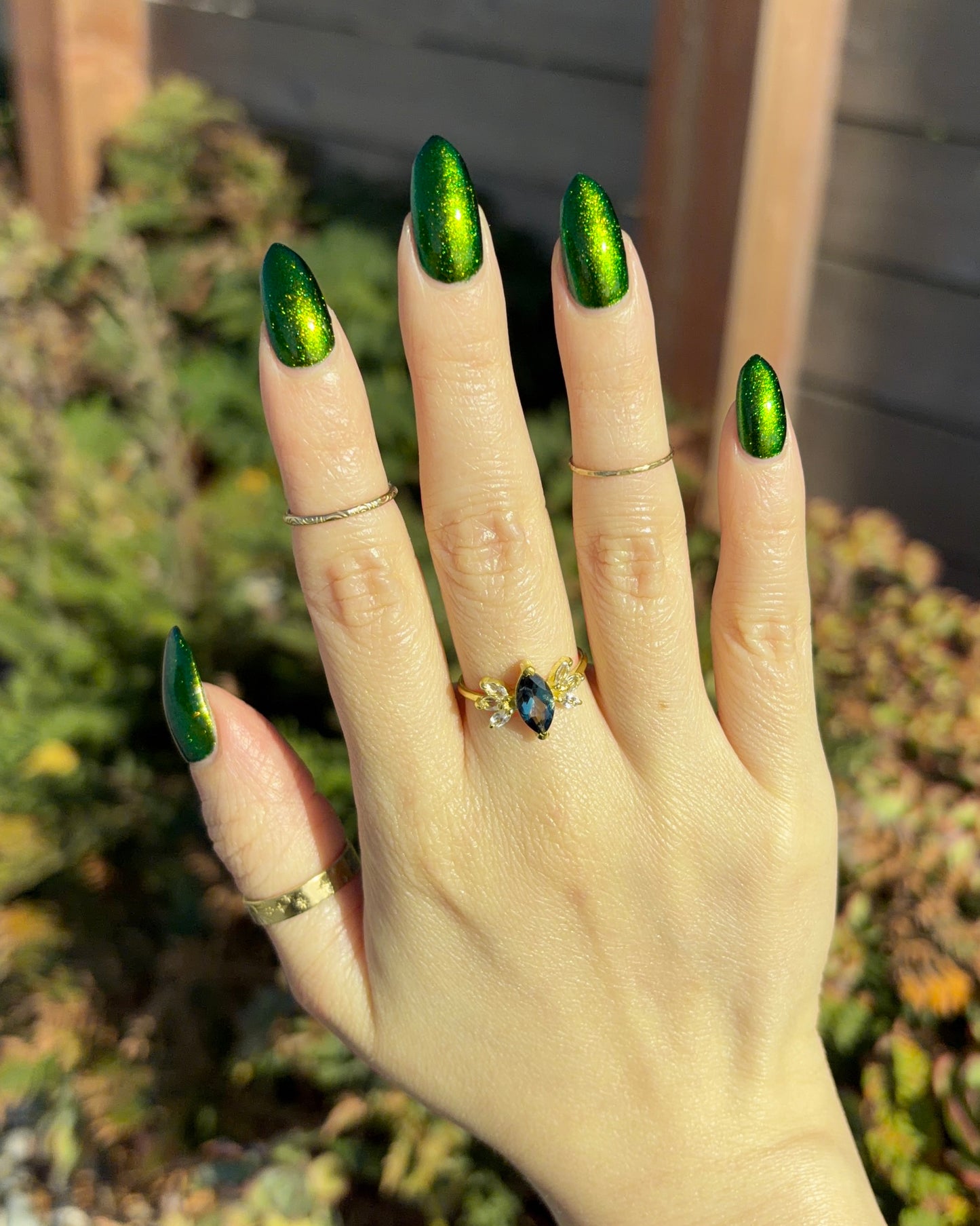 PREORDER: Beetle Wing