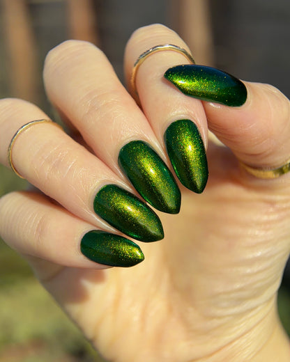 PREORDER: Beetle Wing