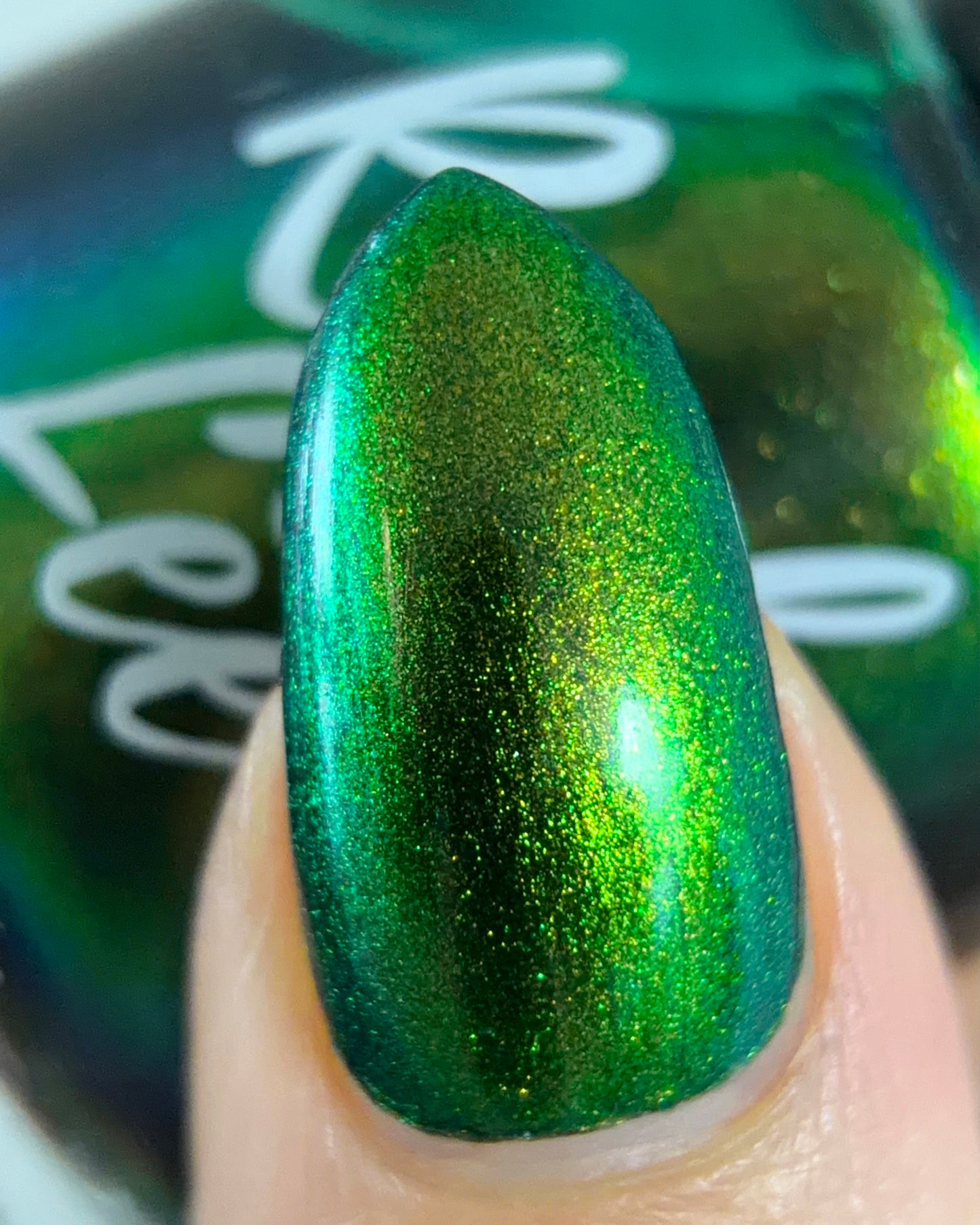 PREORDER: Beetle Wing