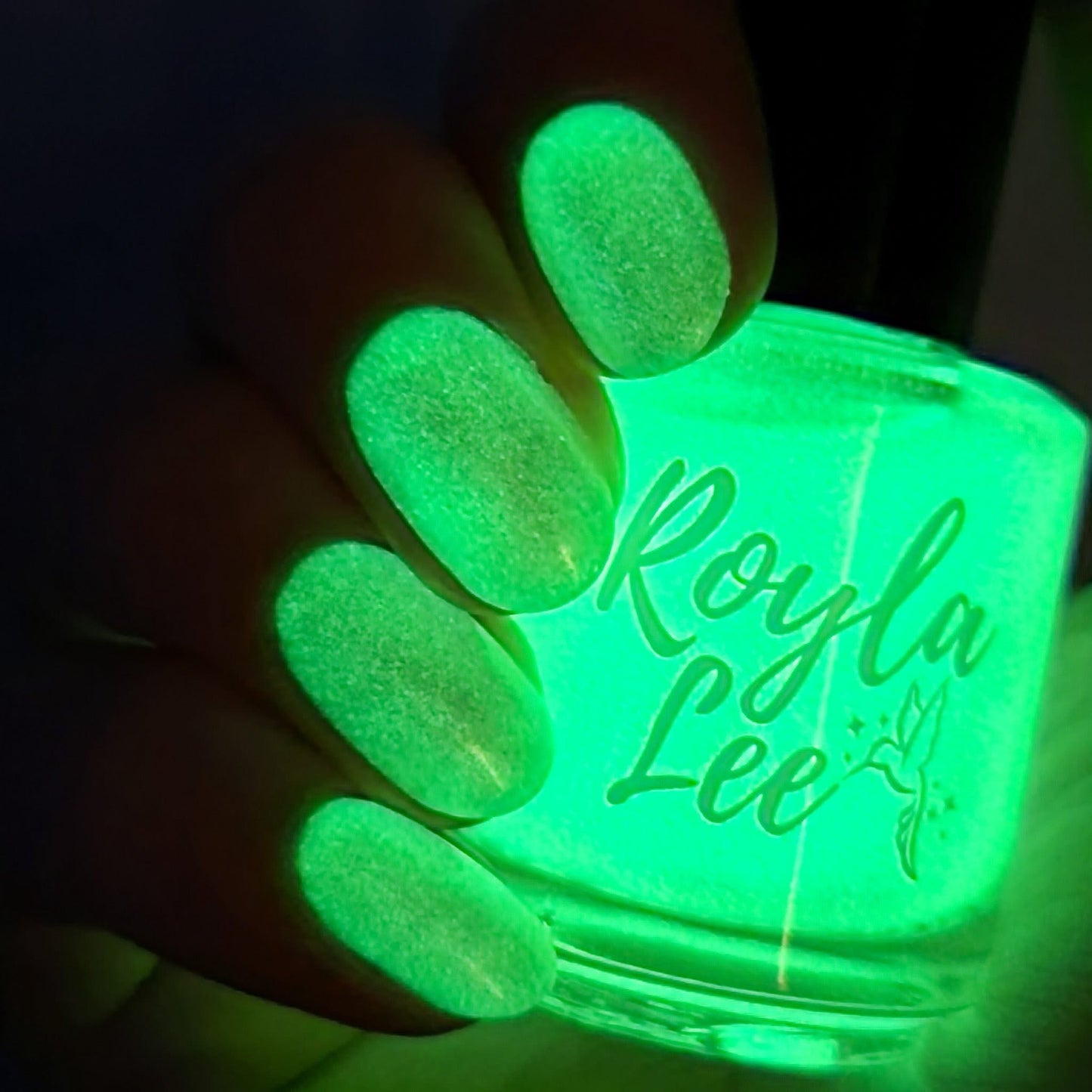 LAST CHANCE: You Glow Gourd - Glow in the Dark