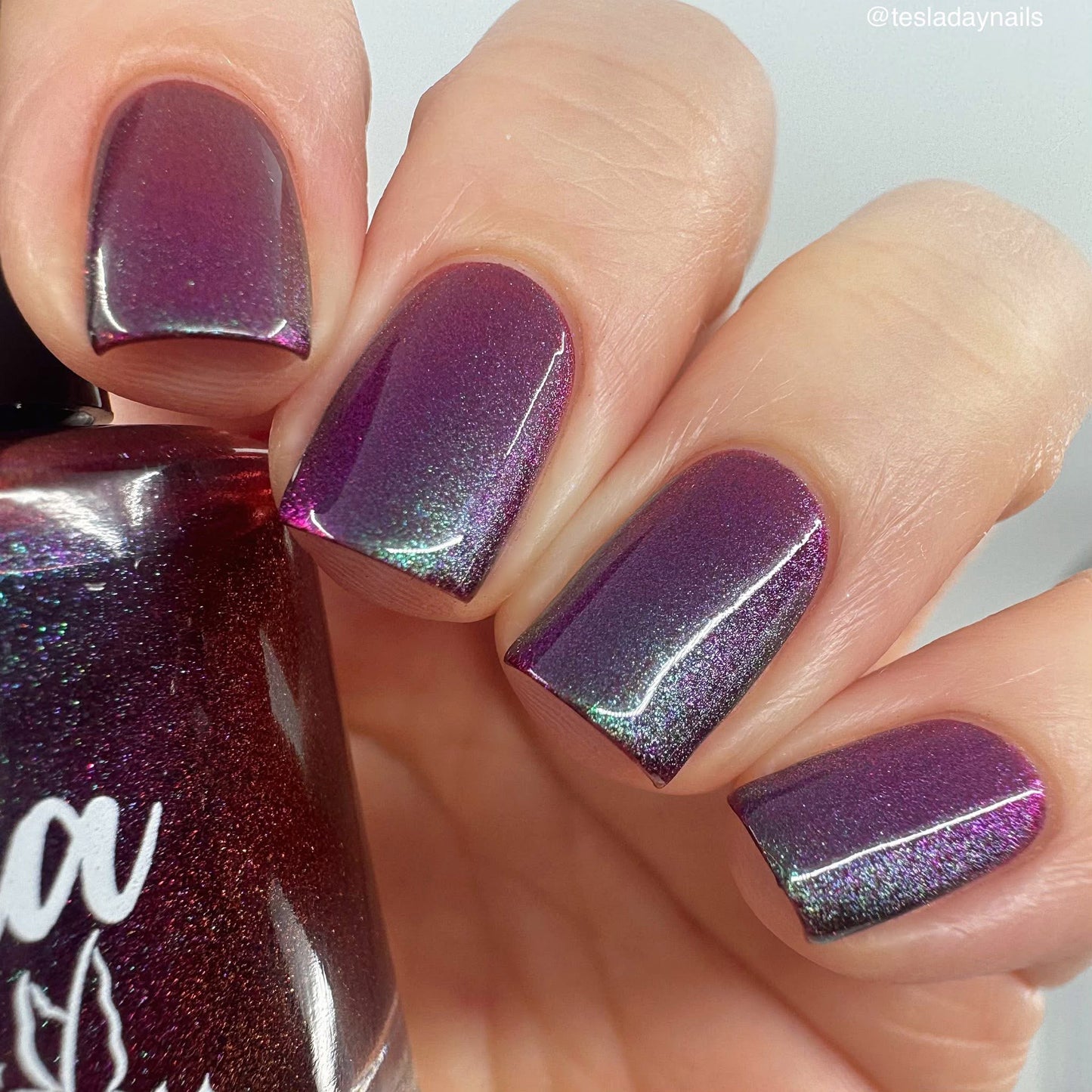 PREORDER: Spellbound *MAGNETIC*