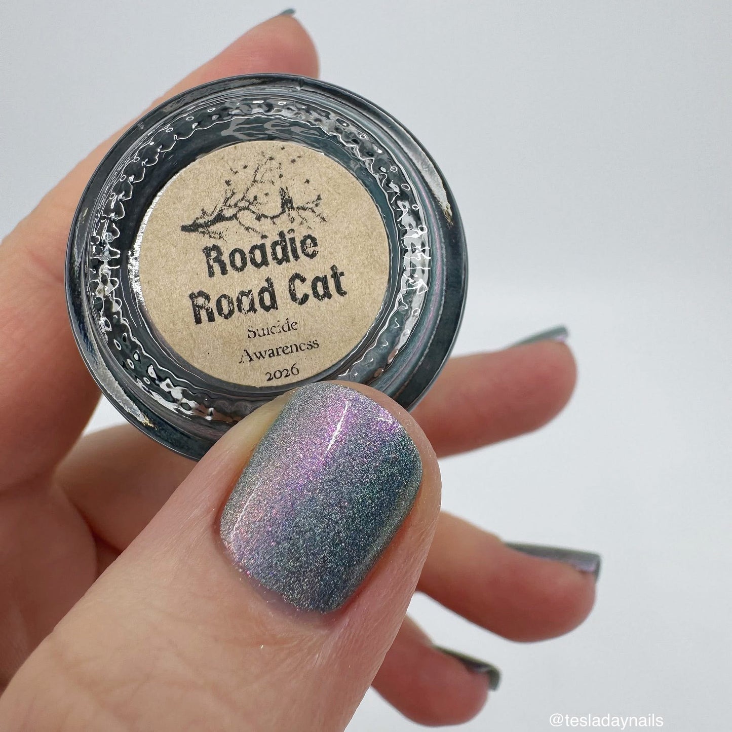 Roadie Road Cat - Suicide Awareness