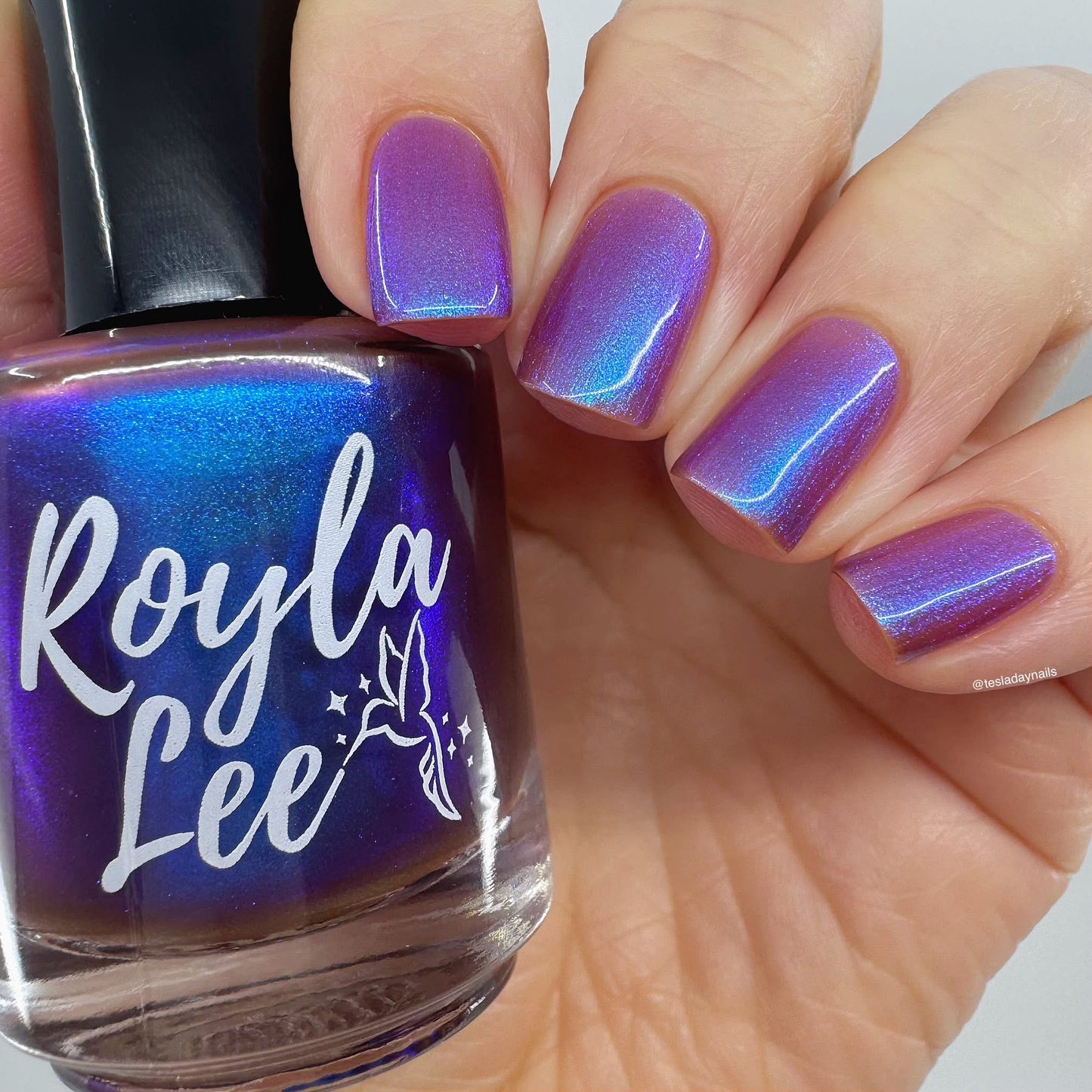 PREORDER: Candied