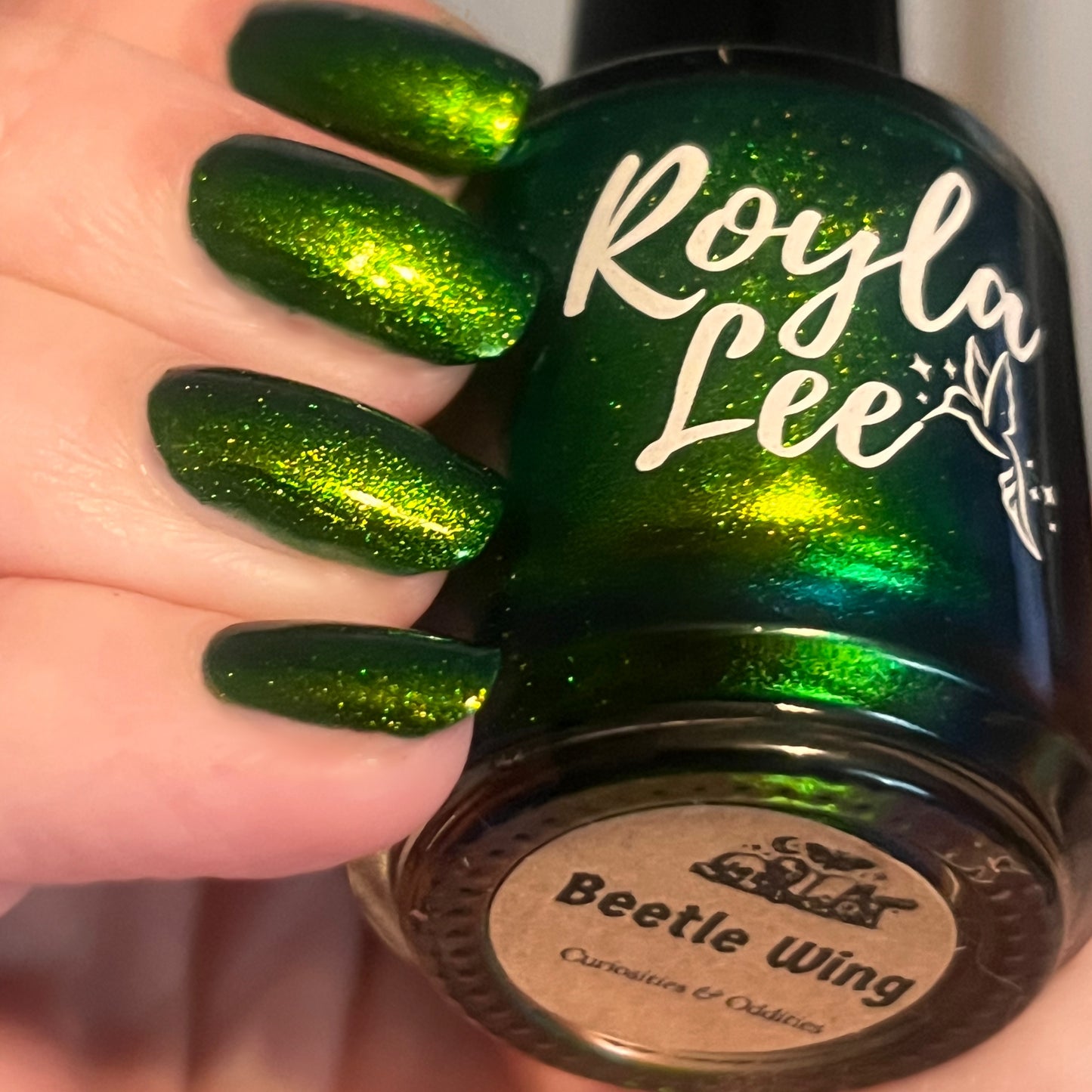 PREORDER: Beetle Wing