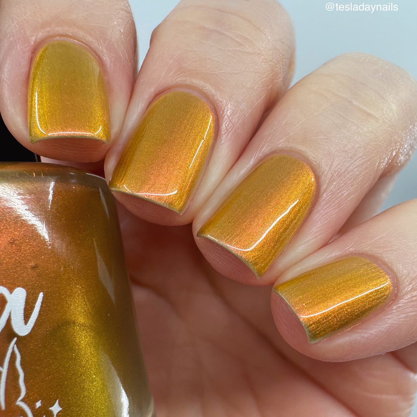 PREORDER: Sunlit Shadows