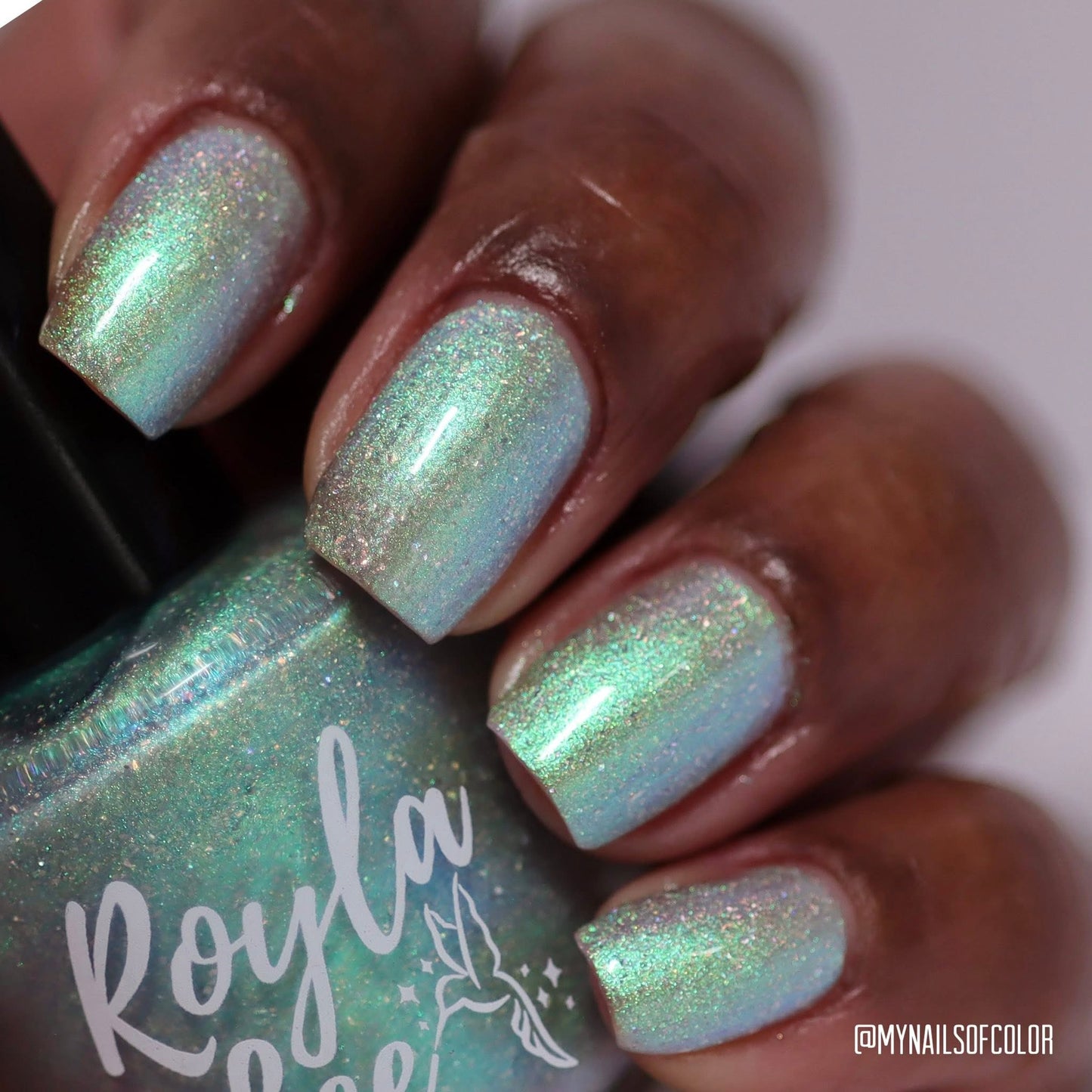 PREORDER: This Ass is Killer, Bella