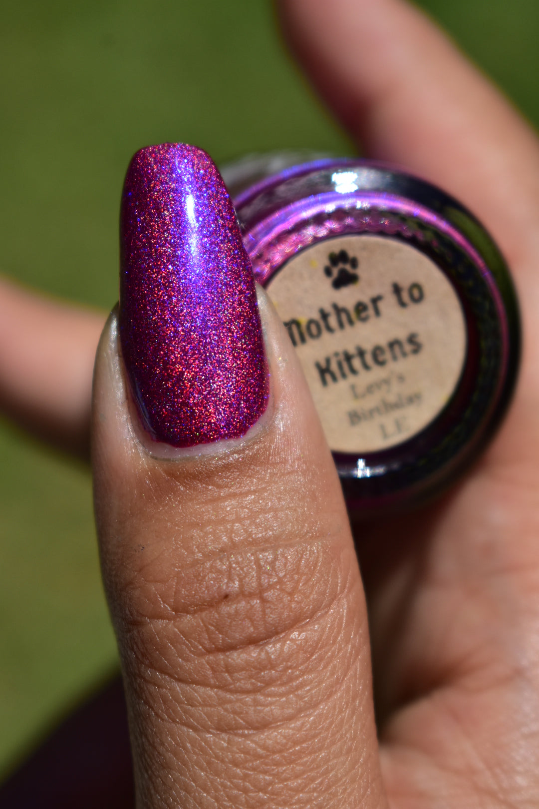 PREORDER: Mother to Kittens