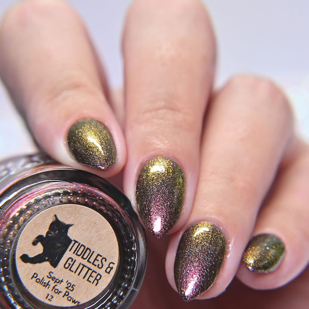 Tiddles & Glitter