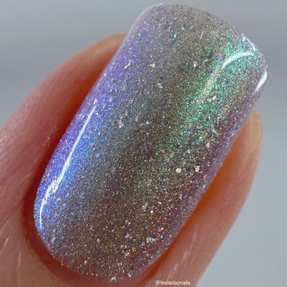 PREORDER: This Ass is Killer, Bella