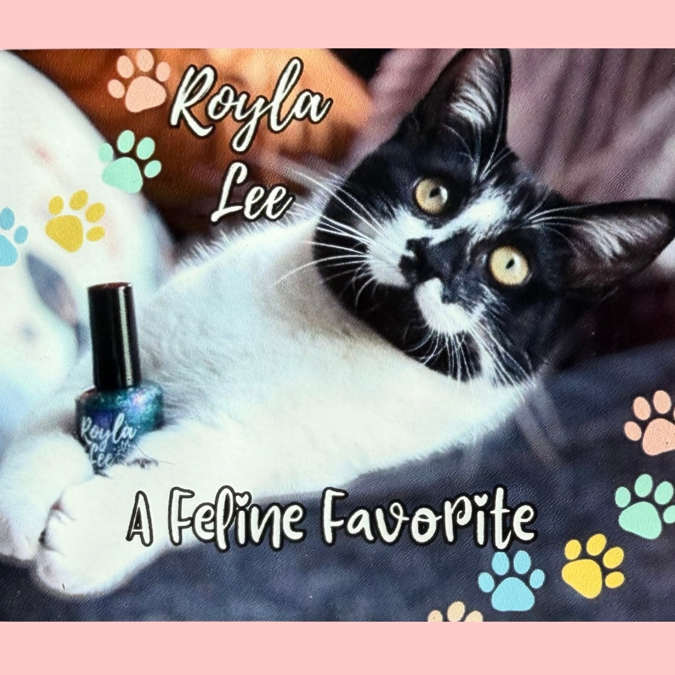 MAGNET: Feline Favorite Helmer Magnet