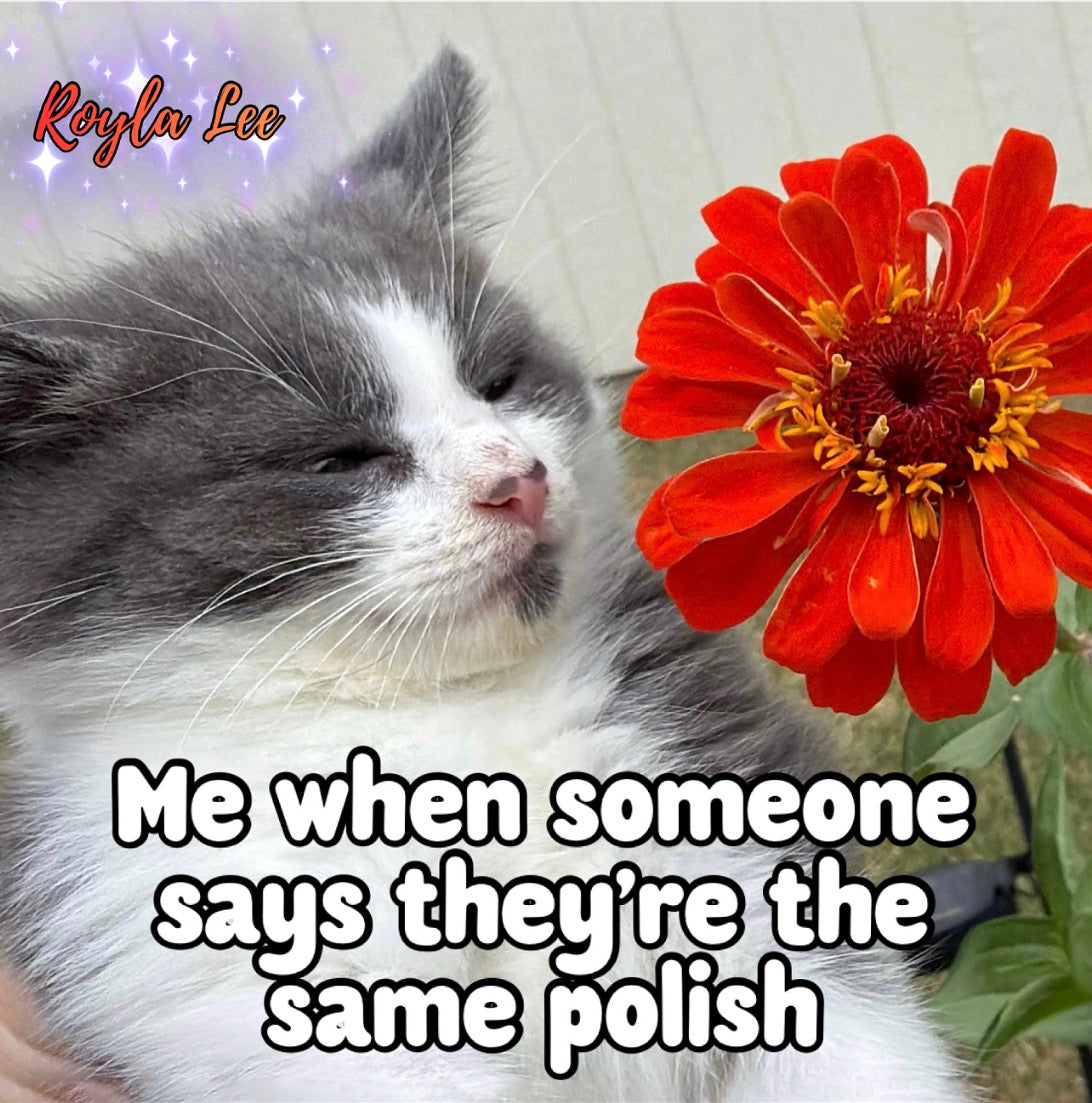 MAGNET: Same Polish