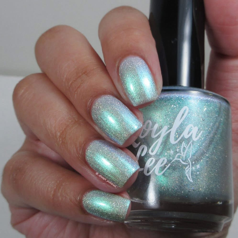 PREORDER: This Ass is Killer, Bella