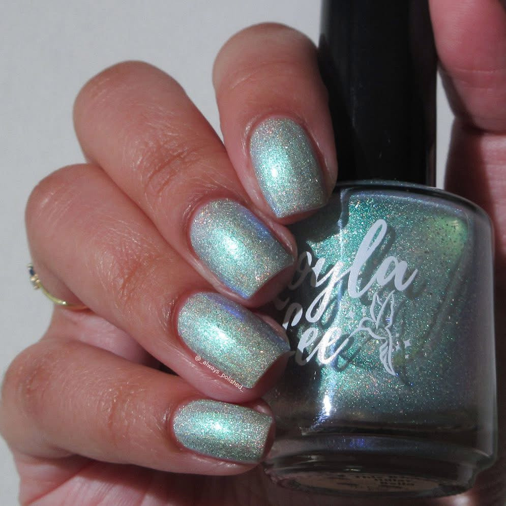 PREORDER: This Ass is Killer, Bella