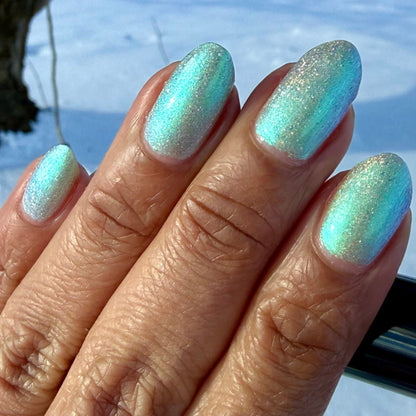 PREORDER: This Ass is Killer, Bella