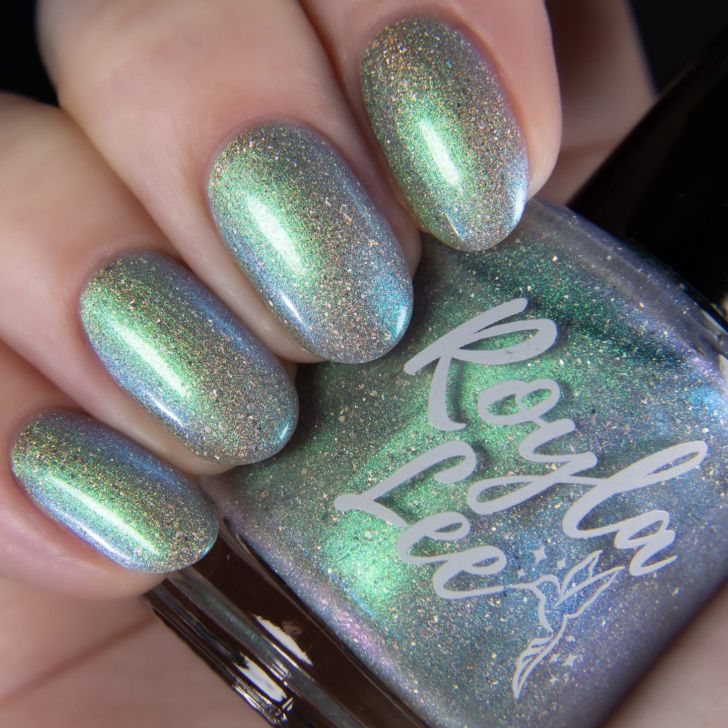 PREORDER: This Ass is Killer, Bella