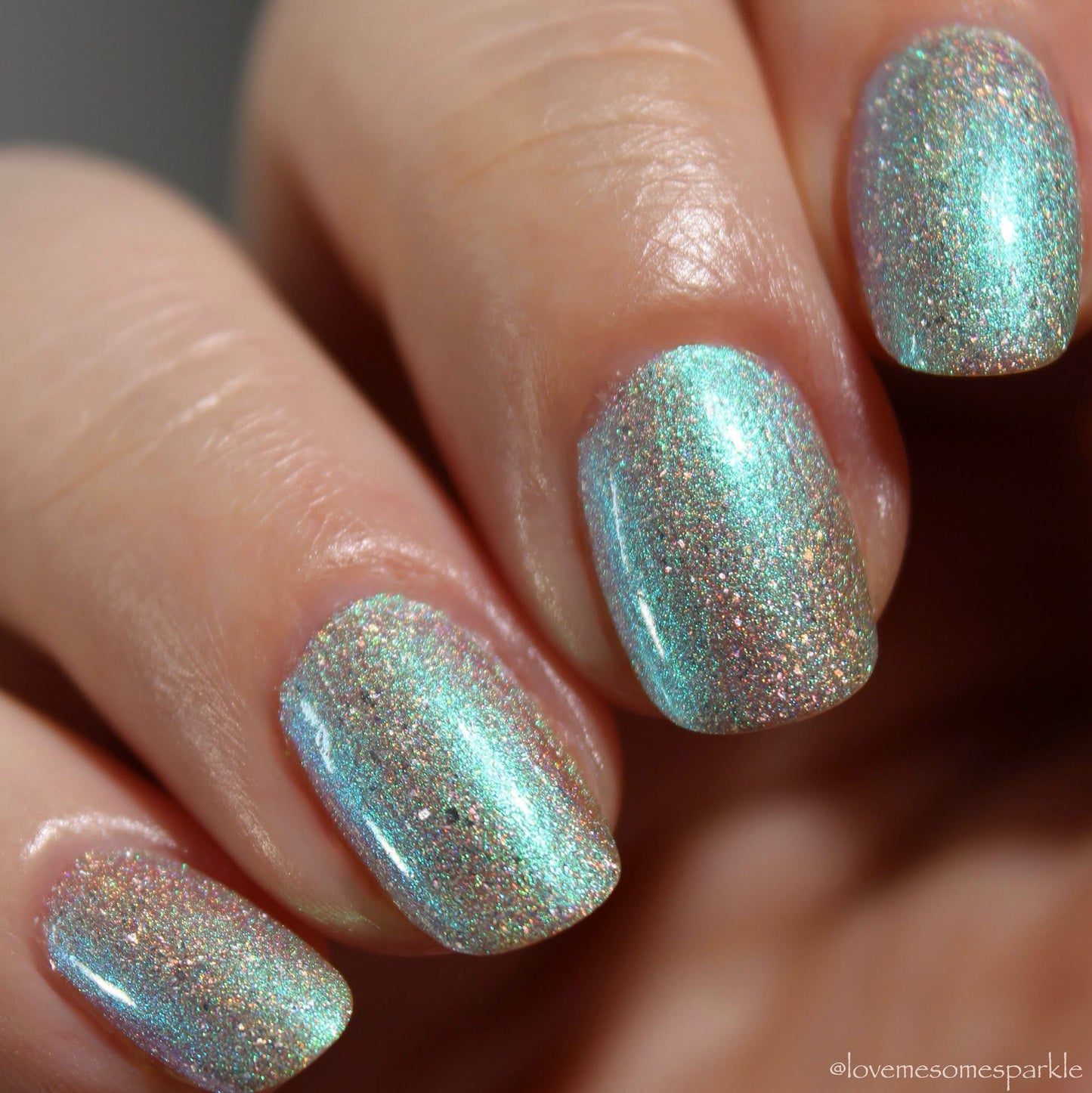 PREORDER: This Ass is Killer, Bella