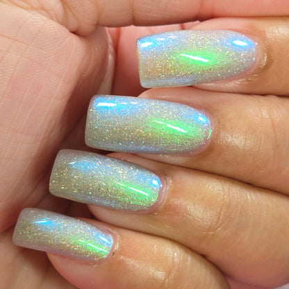 PREORDER: This Ass is Killer, Bella